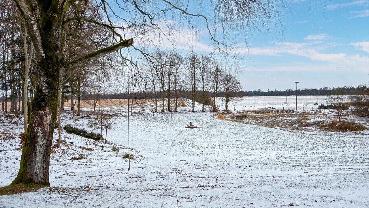 Photo of Others in Skovgaarde