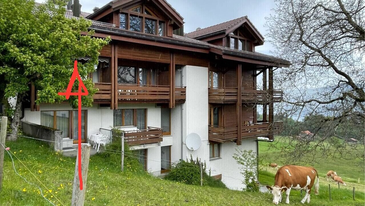 Photo of Outdoor in Aeschi bei Spiez
