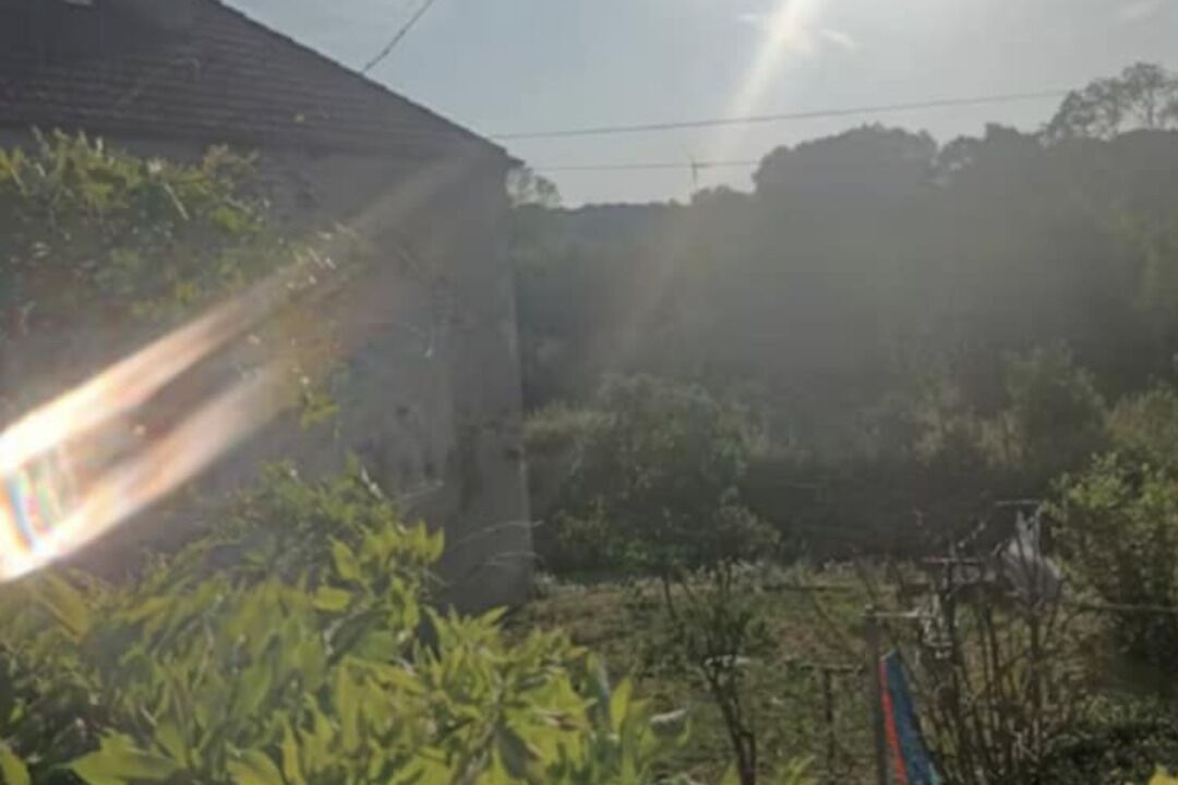 Photo of Others in Treveray