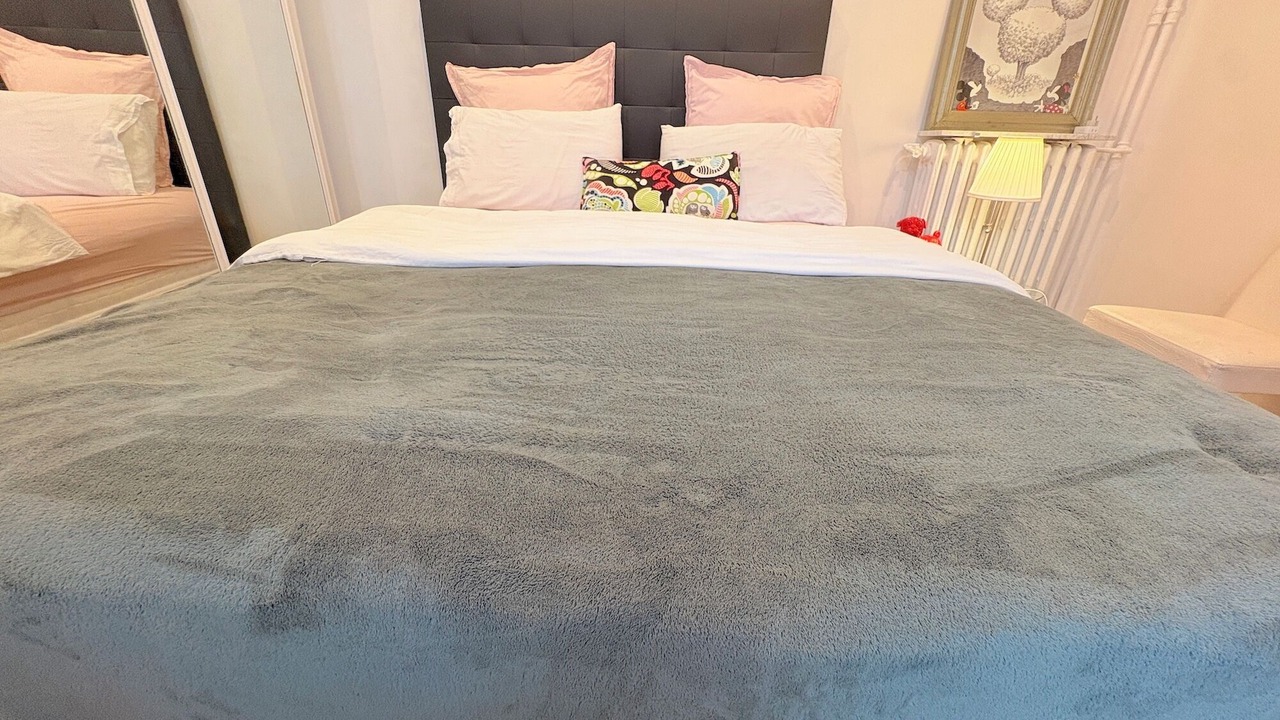 Photo of Bedroom in Passy