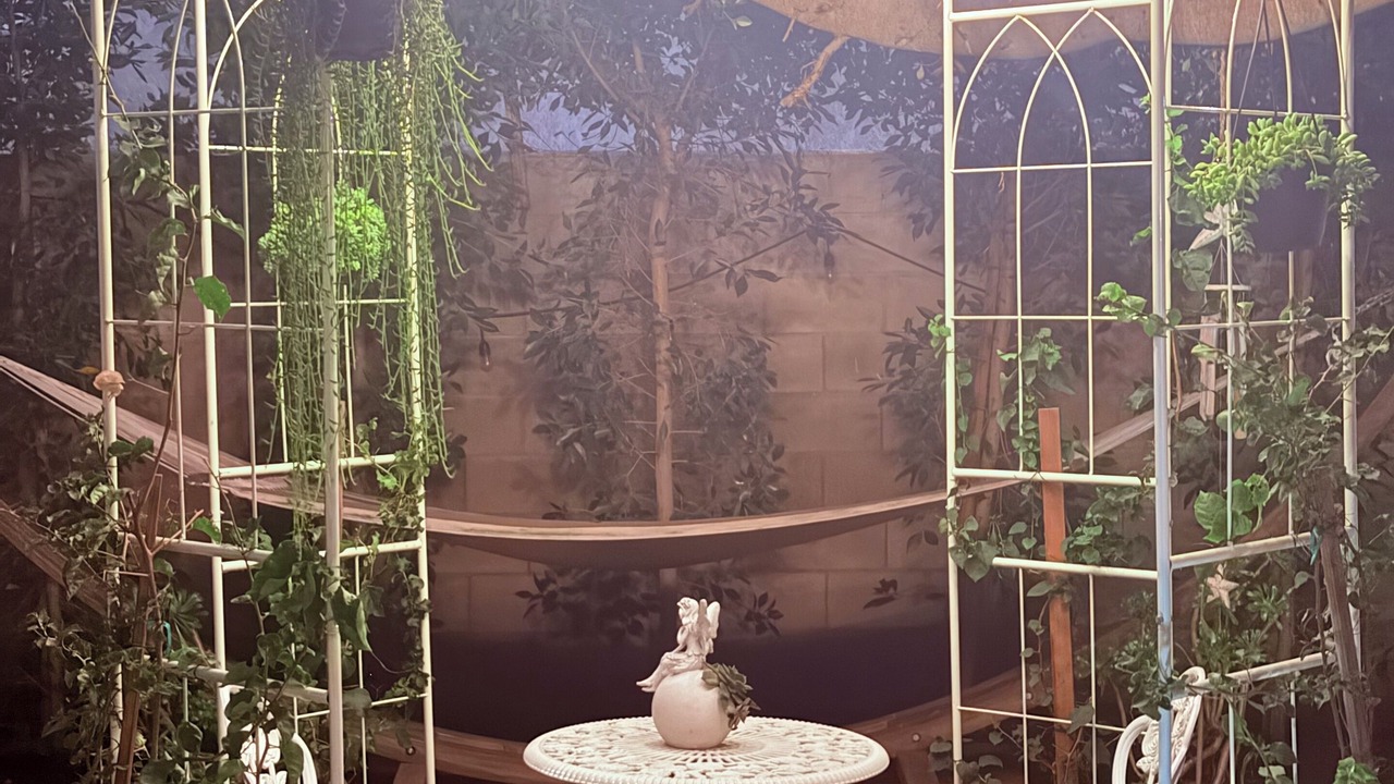 Photo of Outdoor in Hawthorne