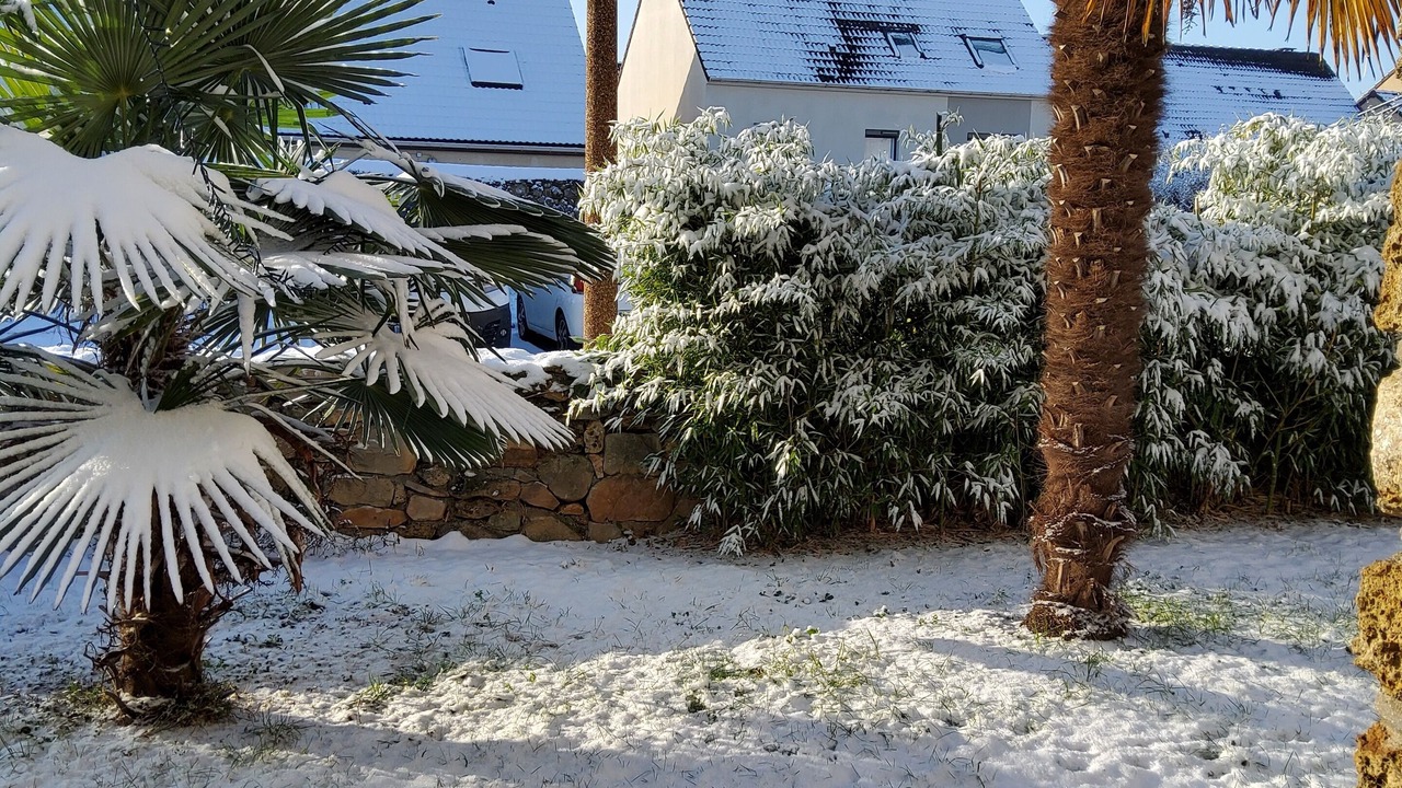 Photo of Outdoor in Bondoufle