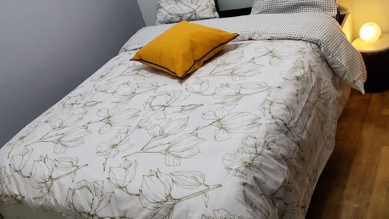 Photo of Bedroom in Bondoufle