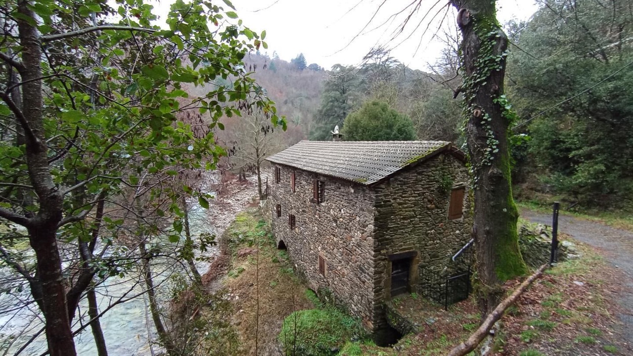 Photo of Outdoor in Navas