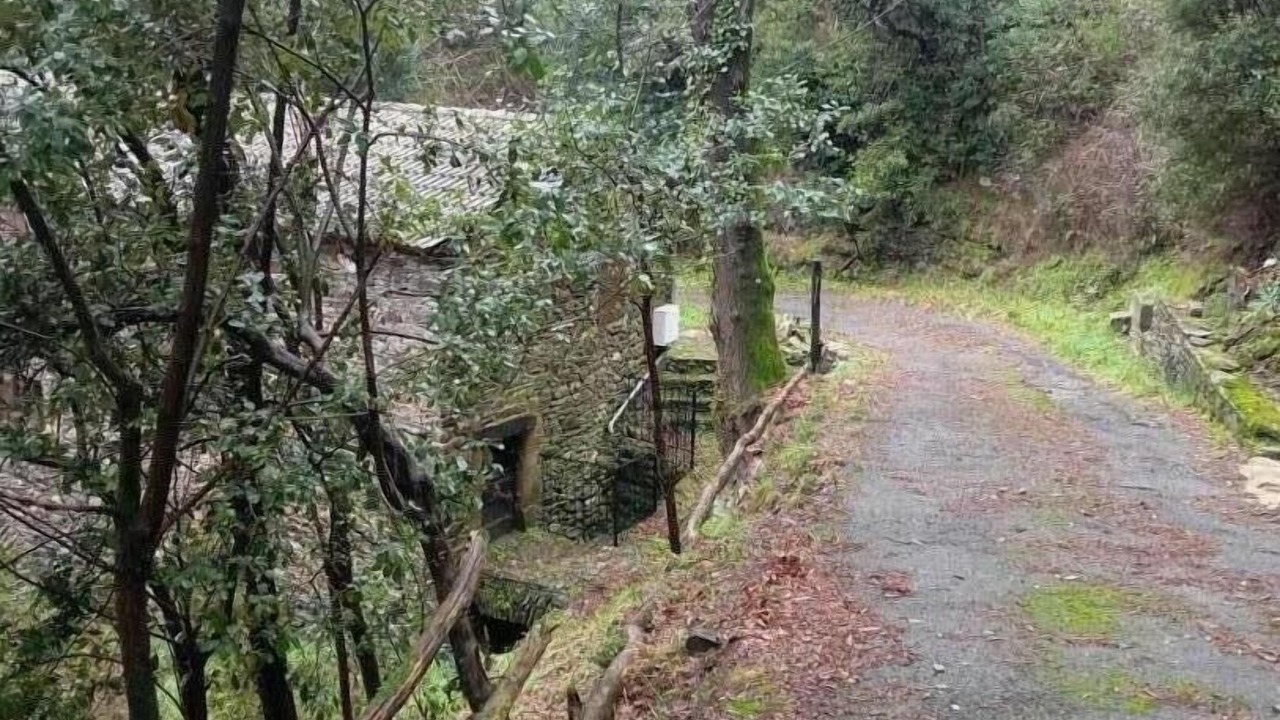 Photo of Outdoor in Navas