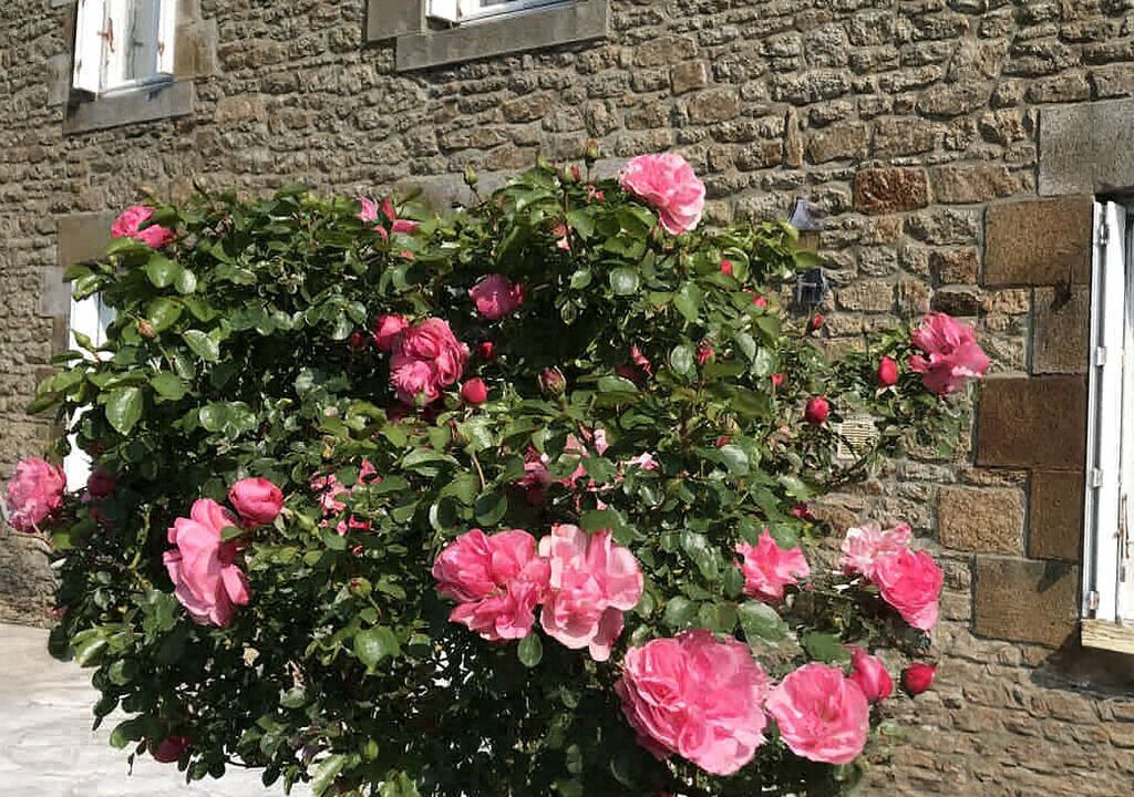 Photo of Outdoor in La Boussac
