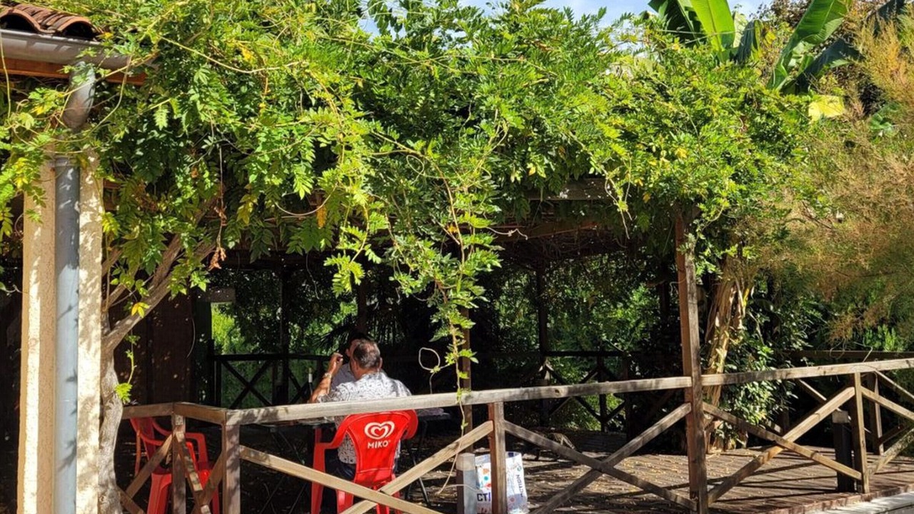 Photo of Outdoor in Pamiers