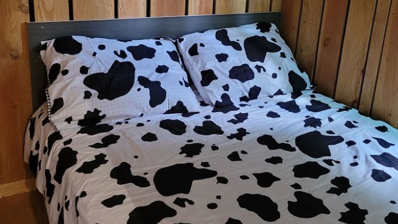 Photo of Bedroom in Pamiers