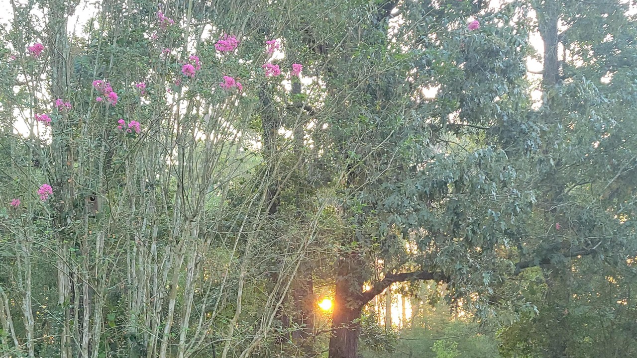 Photo of Outdoor in Huffman
