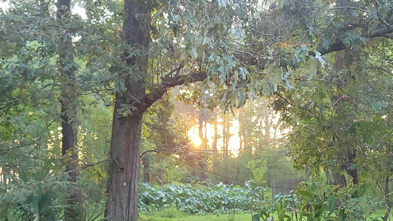 Photo of Outdoor in Huffman