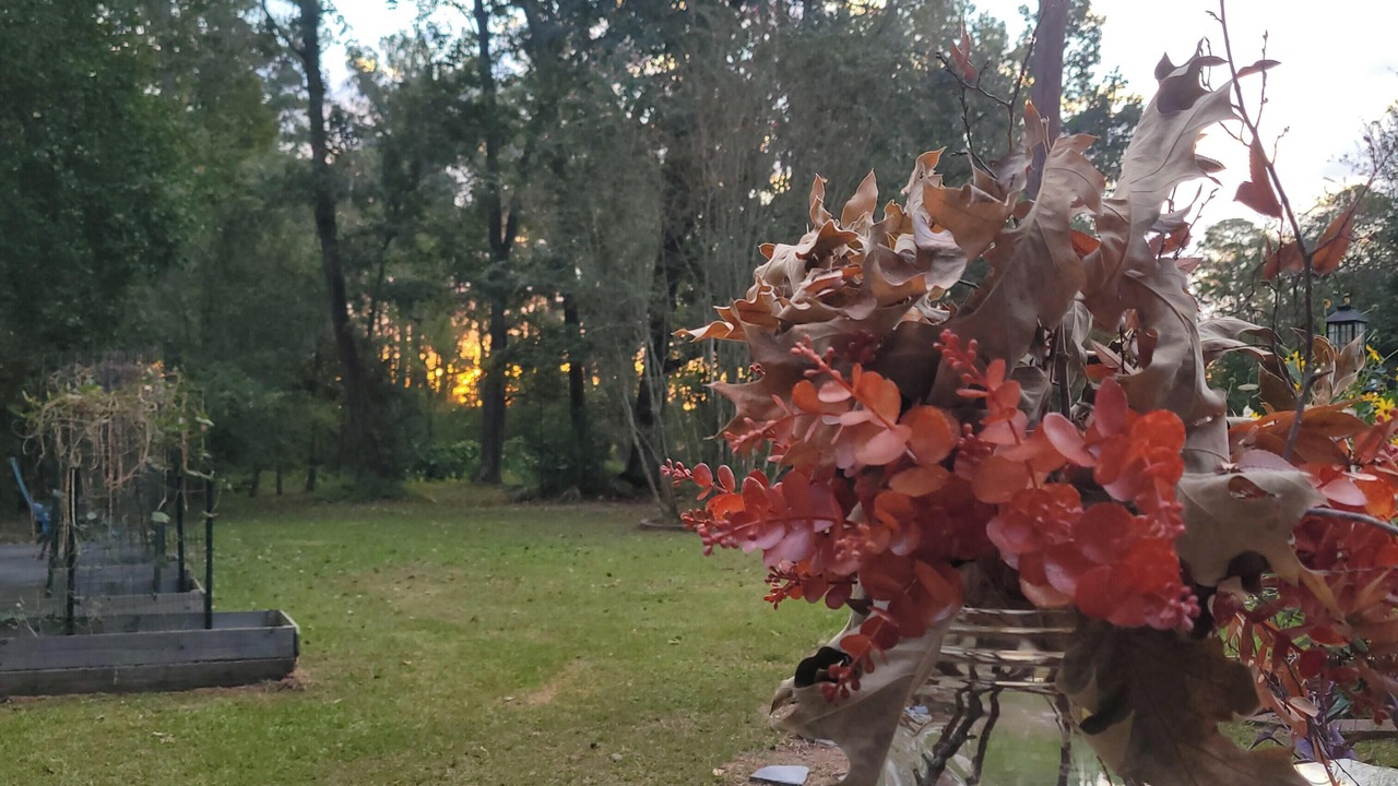 Photo of Outdoor in Huffman