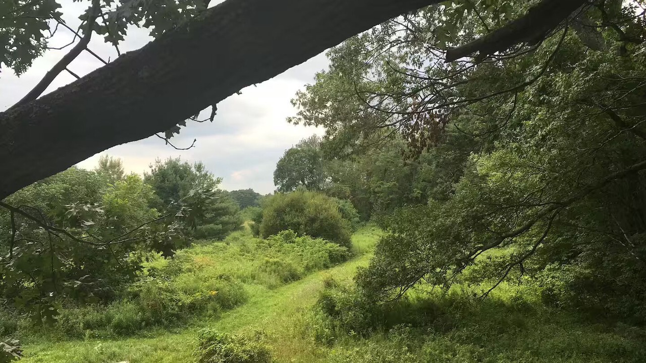 Photo of Others in Hollowville