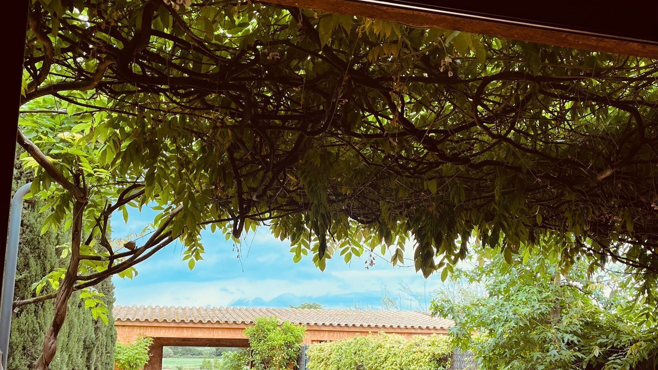 Photo of Outdoor in Palau-Sator
