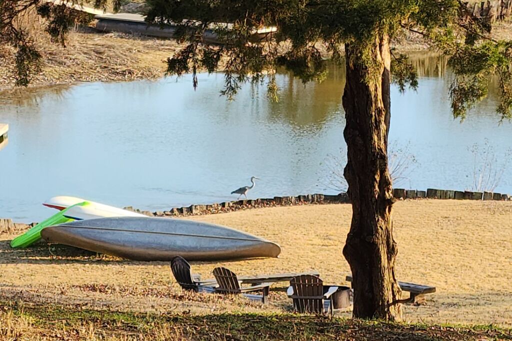 Photo of Others in Sulphur