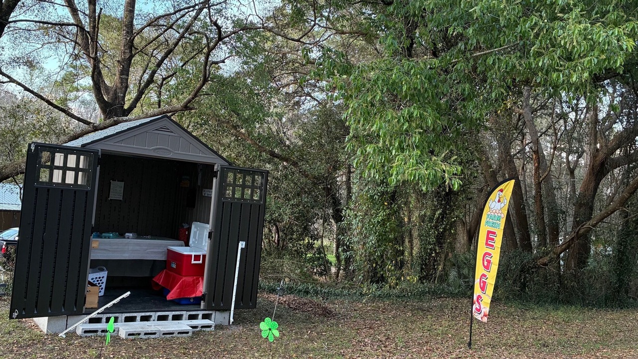 Photo of Outdoor in Mid Florida