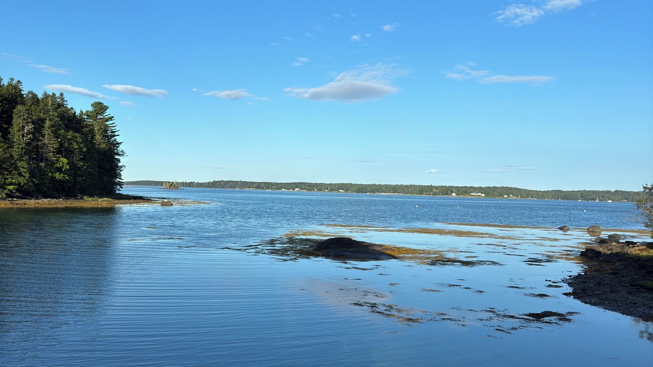 Photo of Others in Tenants Harbor