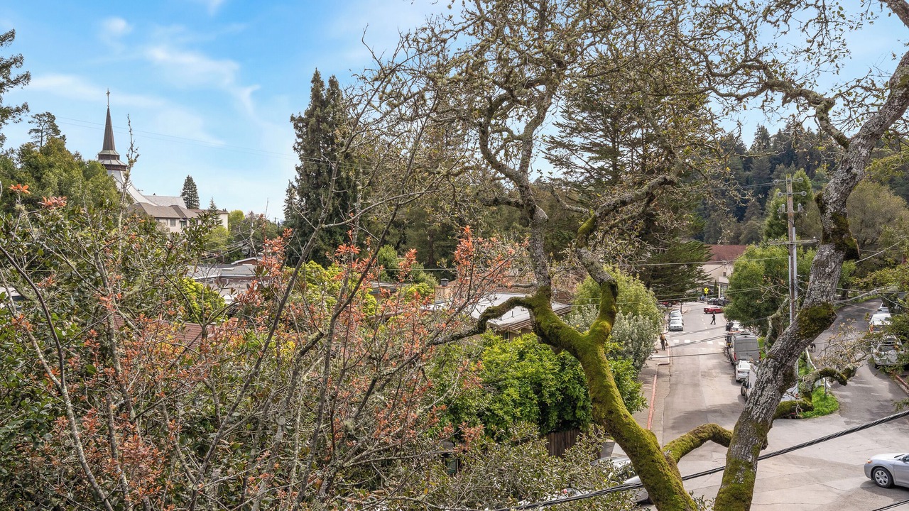 Photo of Others in Mill Valley