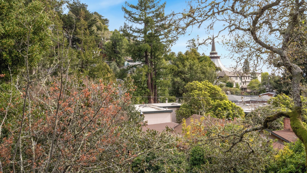 Photo of Others in Mill Valley
