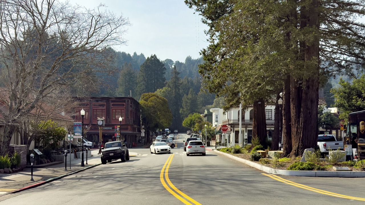 Photo of Others in Mill Valley