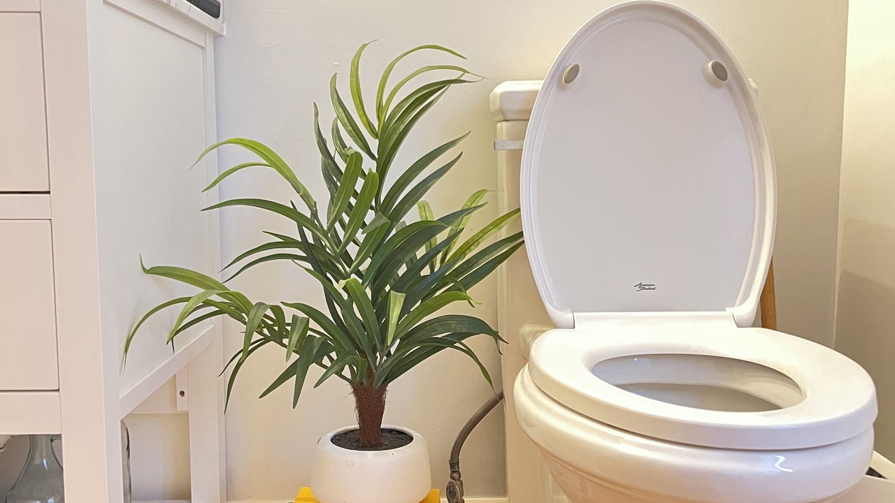 Photo of Bathroom in Hortonville