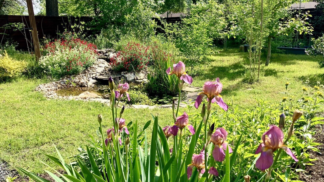 Photo of Outdoor in University Hills and Windsor Park