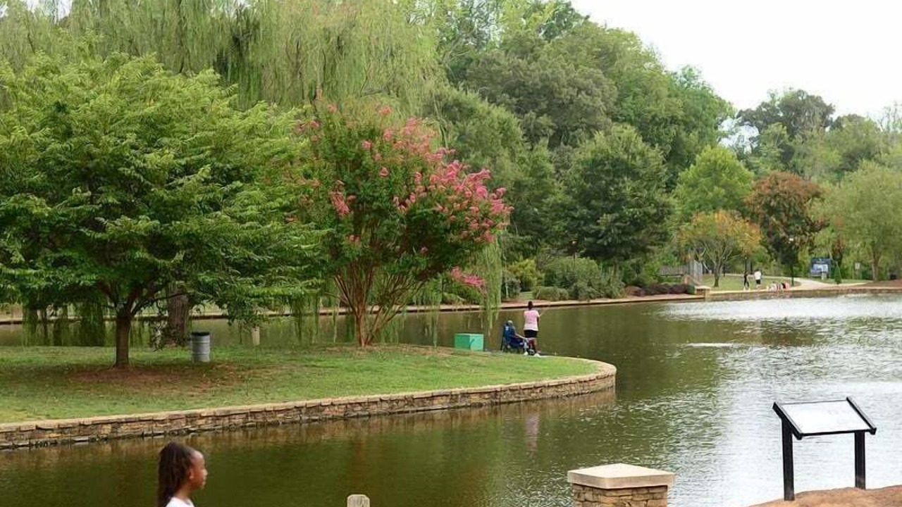 Photo of Others in Sheffield Park