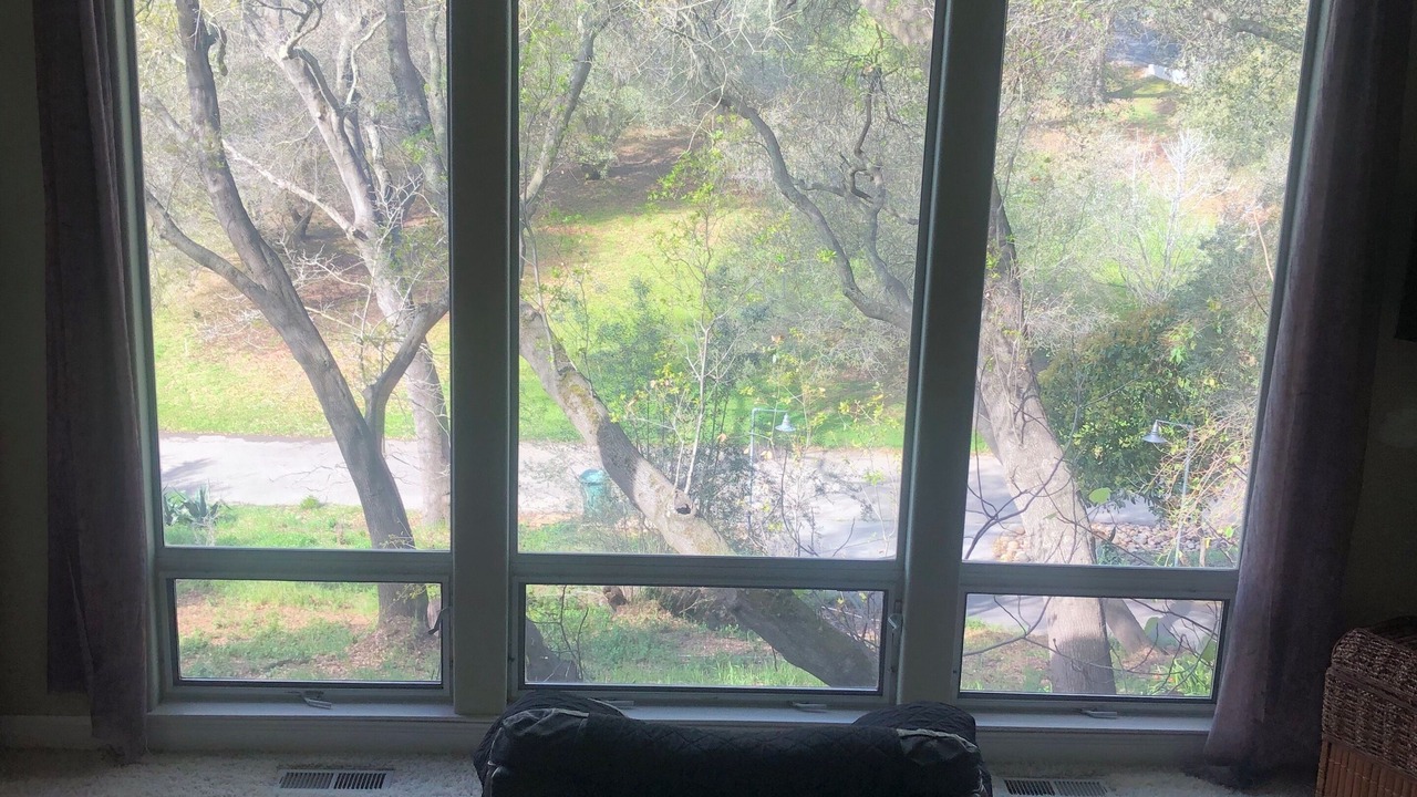 Photo of Bedroom in Fair Oaks