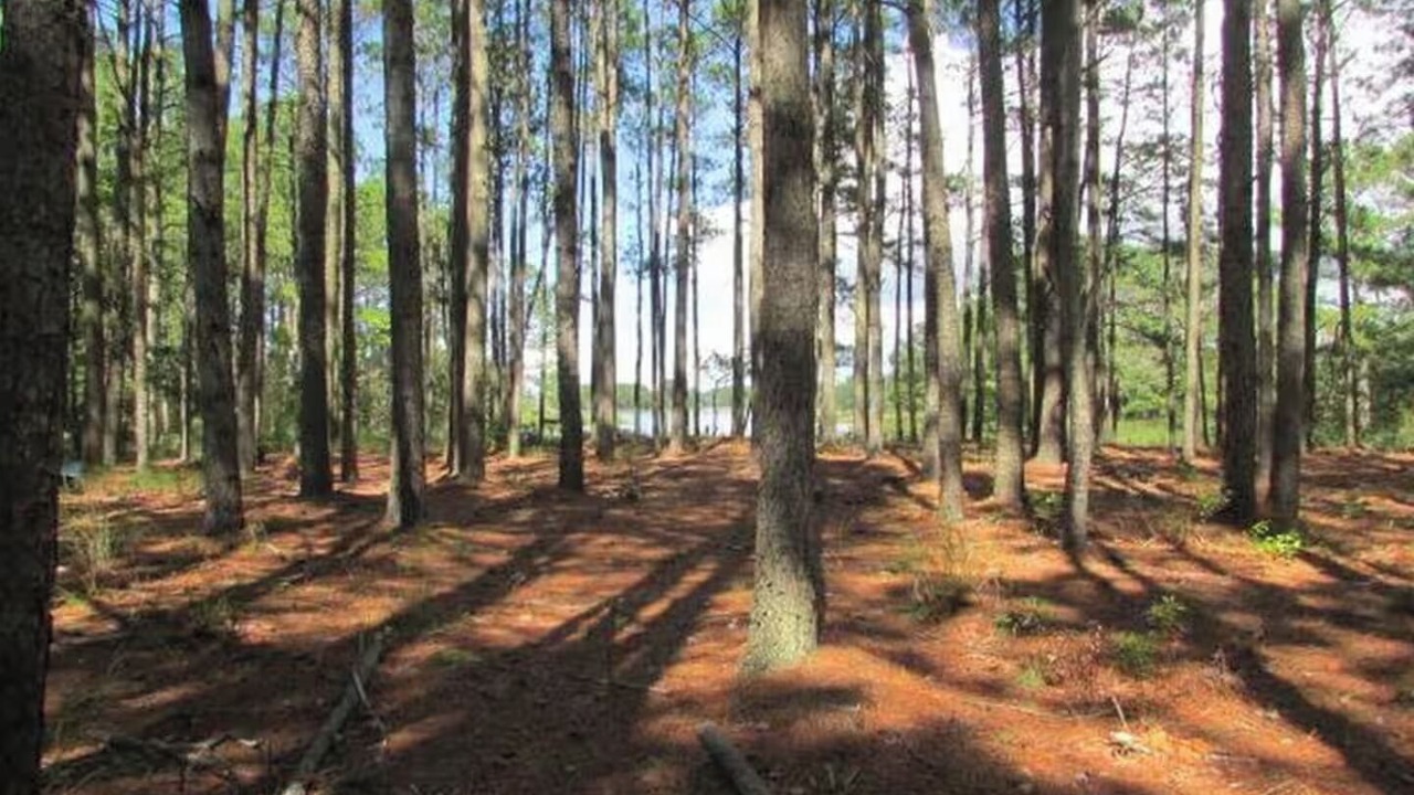 Photo of Others in Onancock