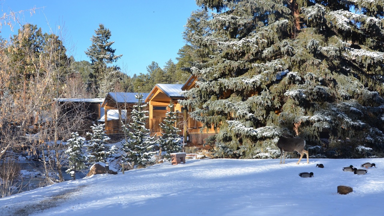 Photo of Outdoor in Evergreen