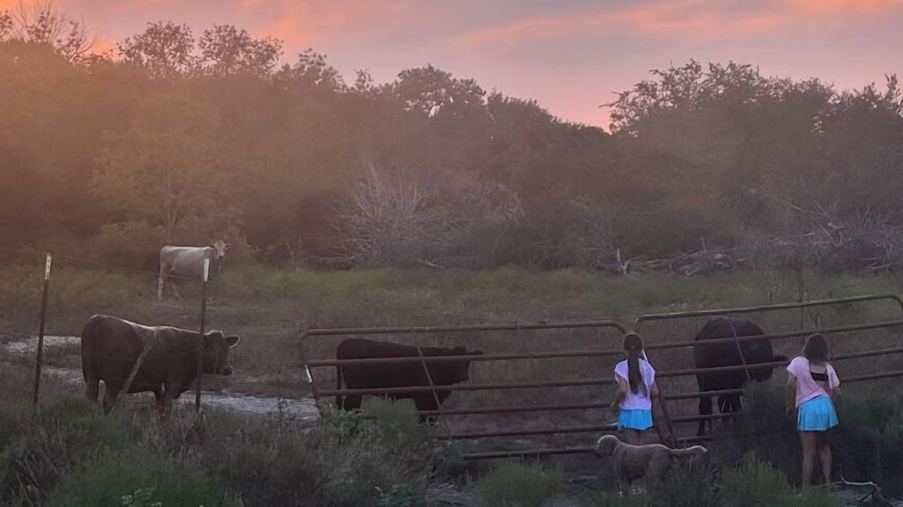 Photo of Others in Granbury
