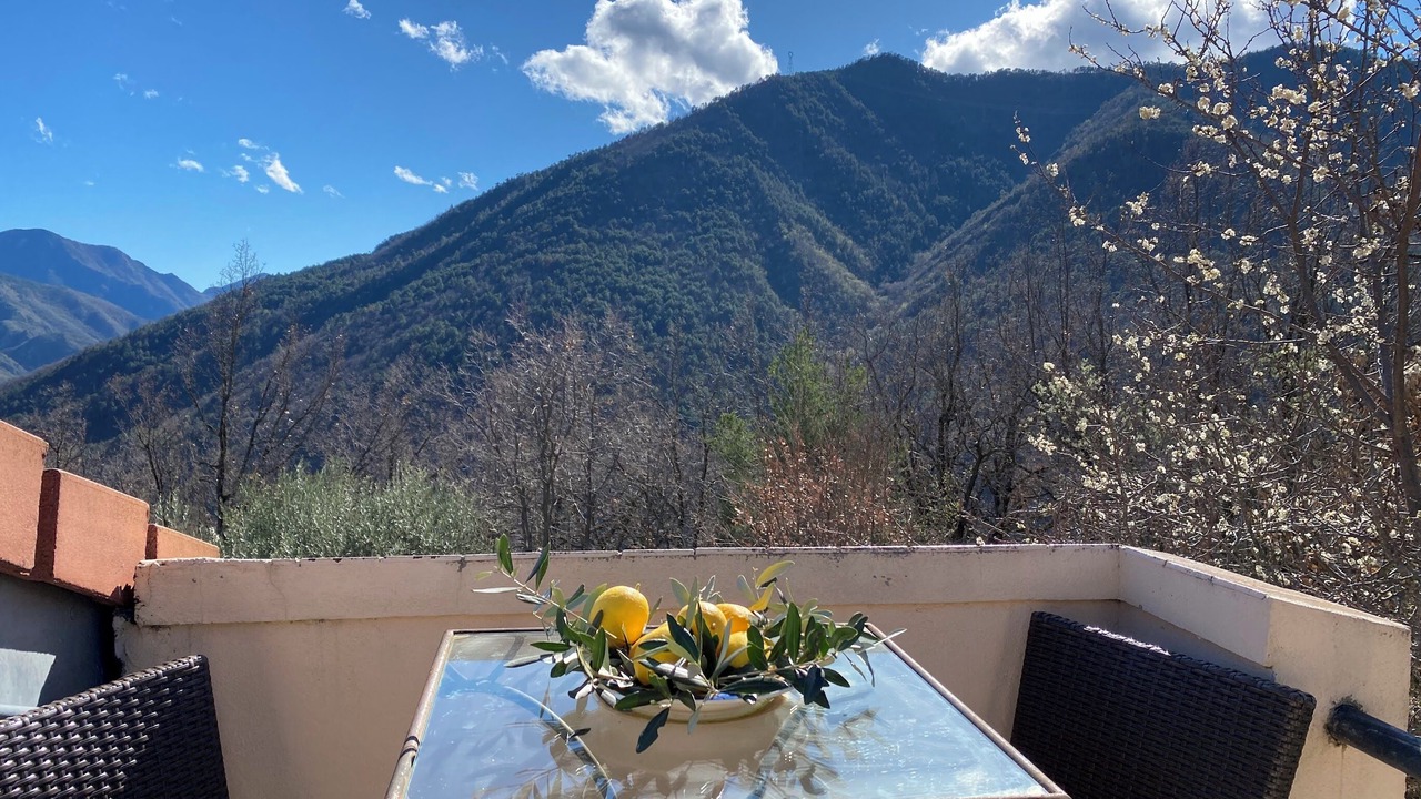 Photo of Outdoor in Belvedere
