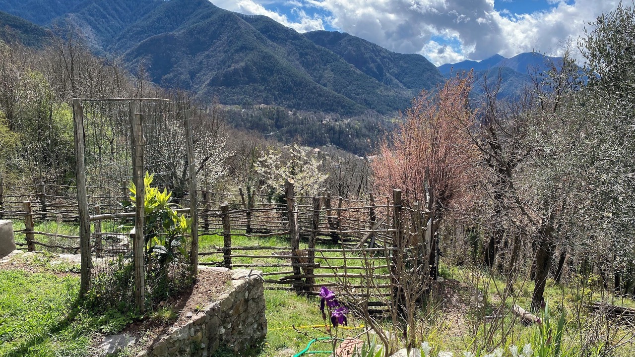 Photo of Outdoor in Belvedere