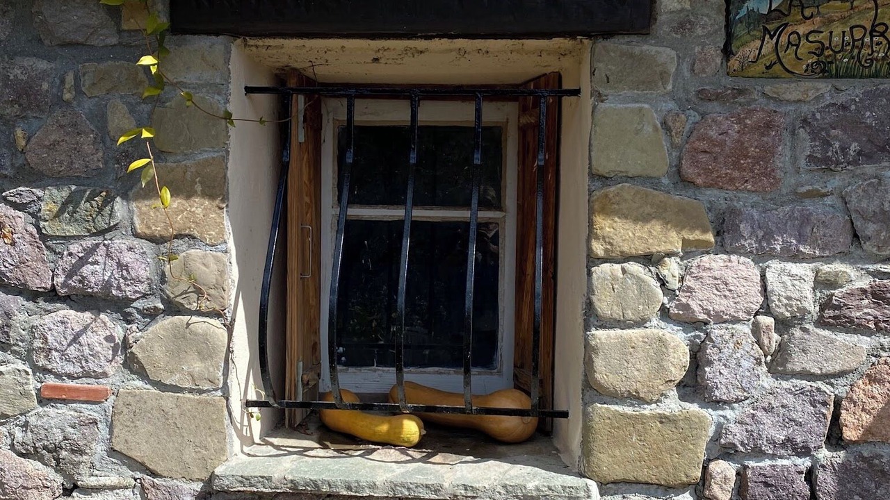 Photo of Outdoor in Belvedere
