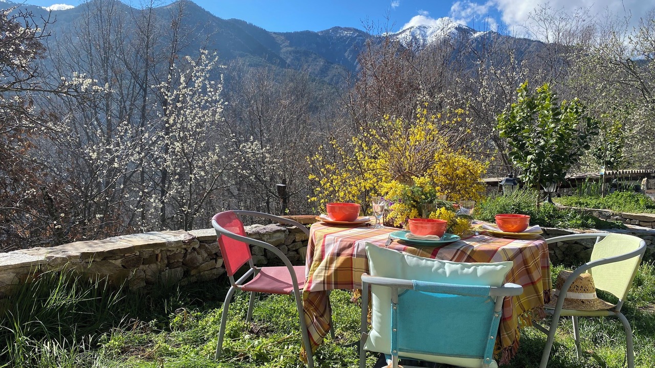 Photo of Outdoor in Belvedere