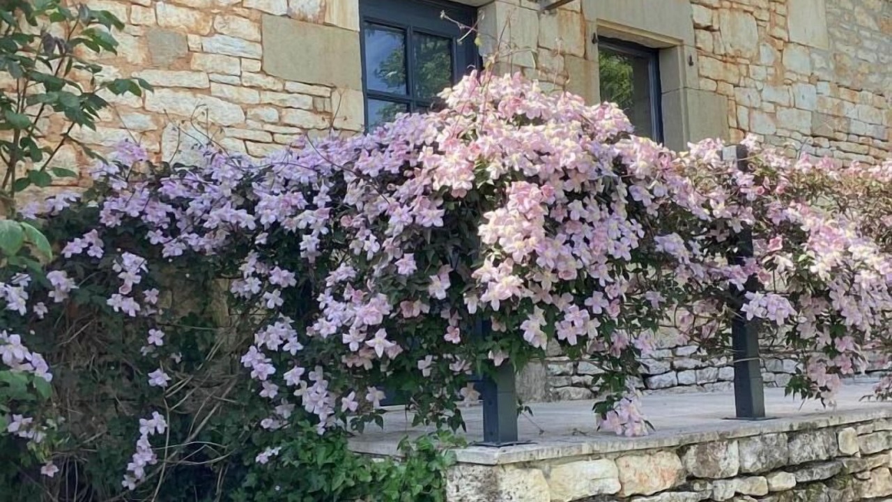 Photo of Outdoor in Gignac