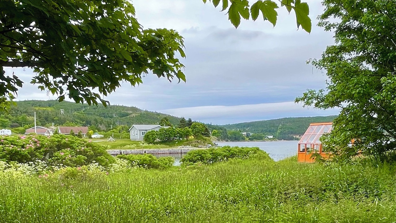 Photo of Outdoor in Heart's Content