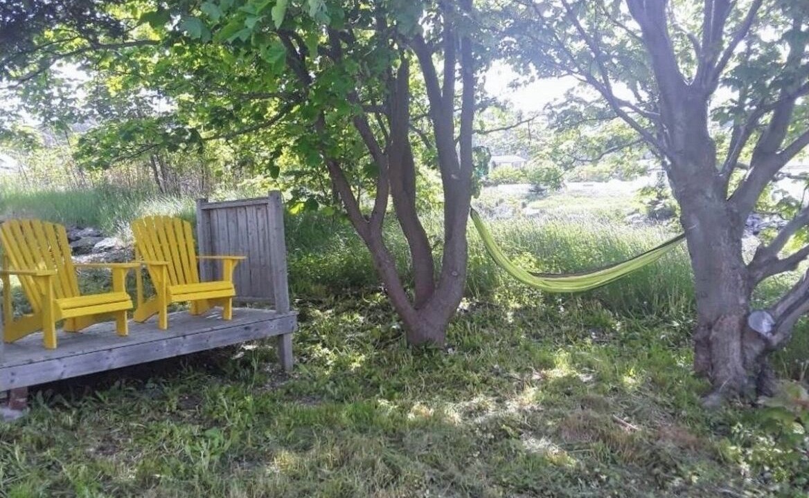 Photo of Outdoor in Heart's Content