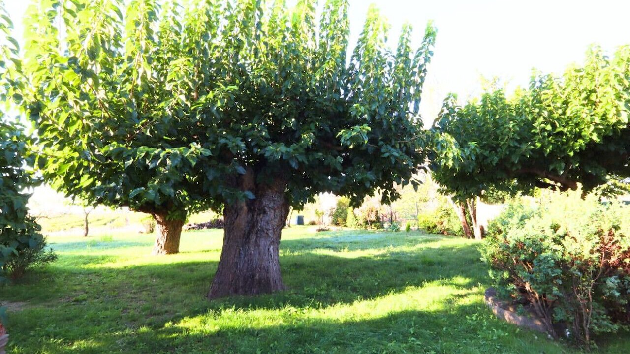 Photo of Outdoor in Rochegude