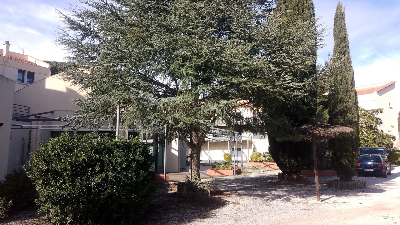 Photo of Outdoor in Alenya