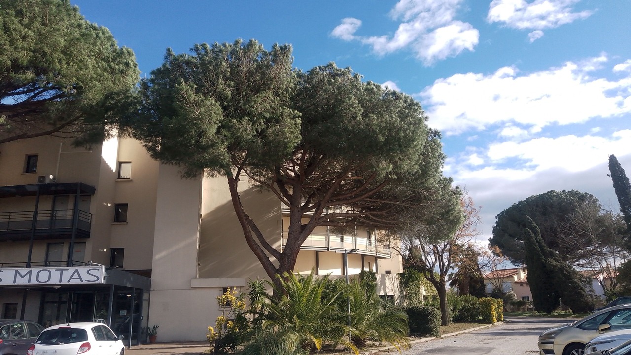 Photo of Outdoor in Alenya