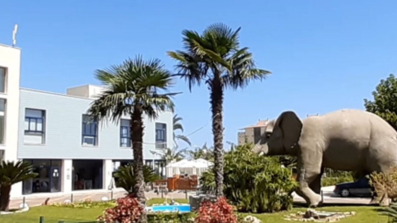 Photo of Outdoor in Grao de Gandia