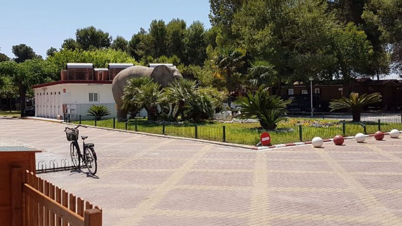 Photo of Outdoor in Grao de Gandia