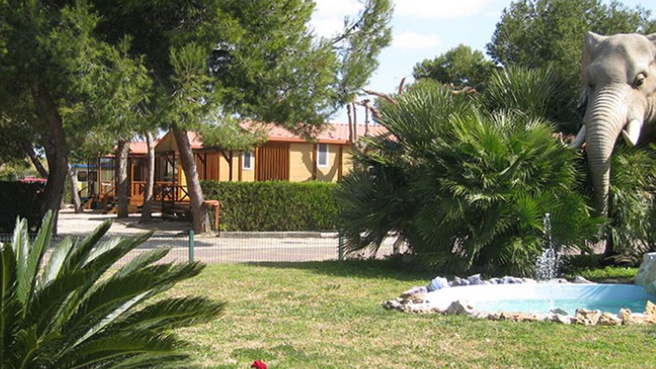 Photo of Outdoor in Grao de Gandia