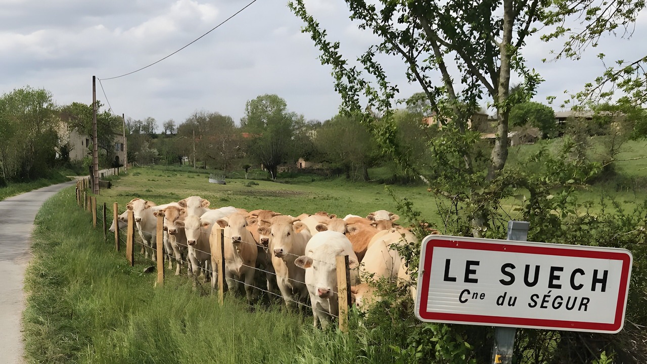 Photo of Others in Le Segur