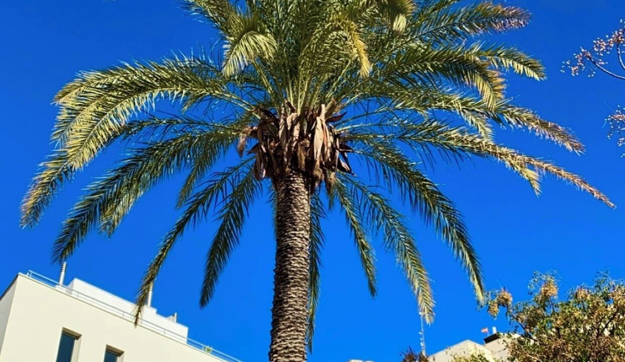 Photo of Outdoor in San Anton