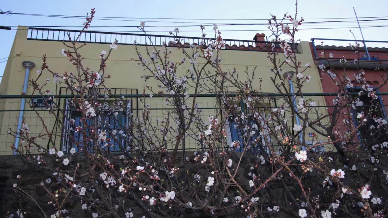 Photo of Outdoor in Cerbere