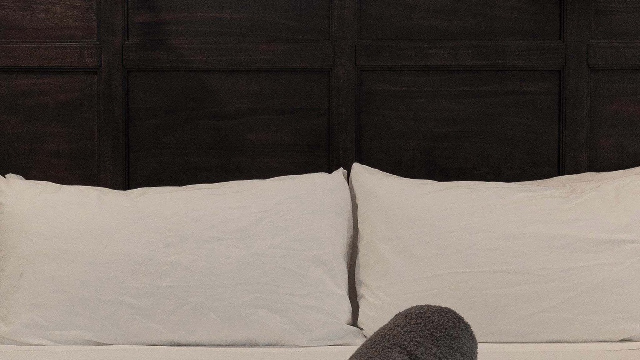 Photo of Bedroom in San Carlos