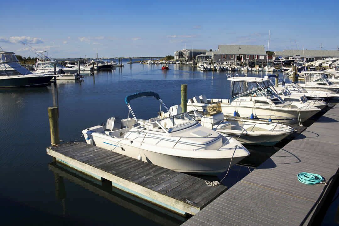 Photo of Others in Osterville