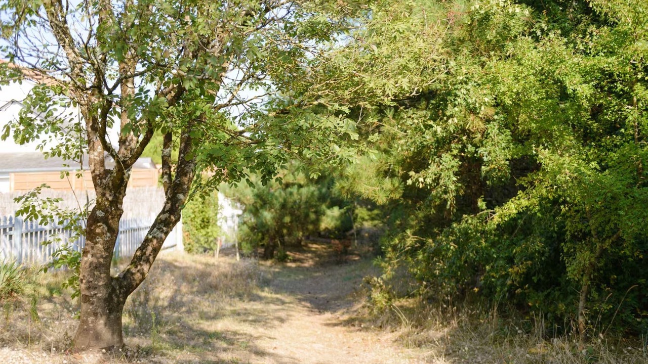 Photo of Outdoor in Notre-Dame-de-Monts