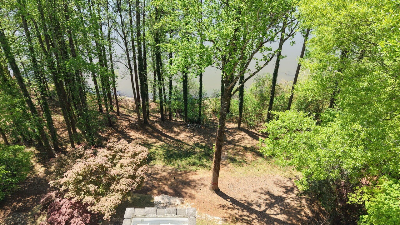 Photo of Outdoor in Acworth